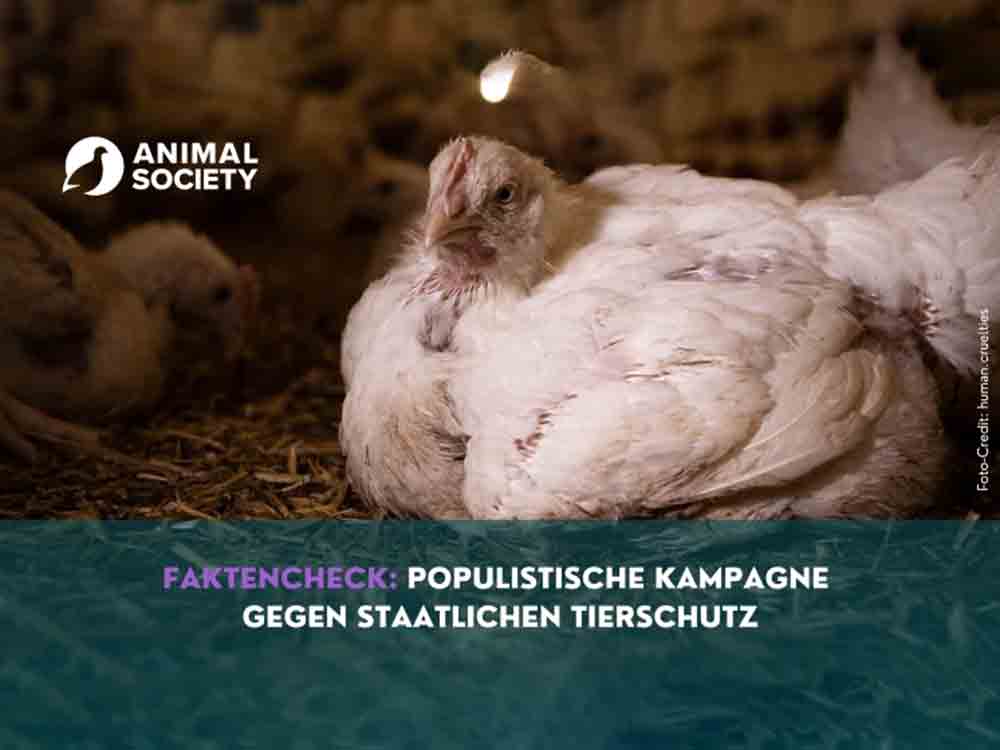 Animal Society: Agrarlobby und CDU CSU gegen staatlichen Tierschutz