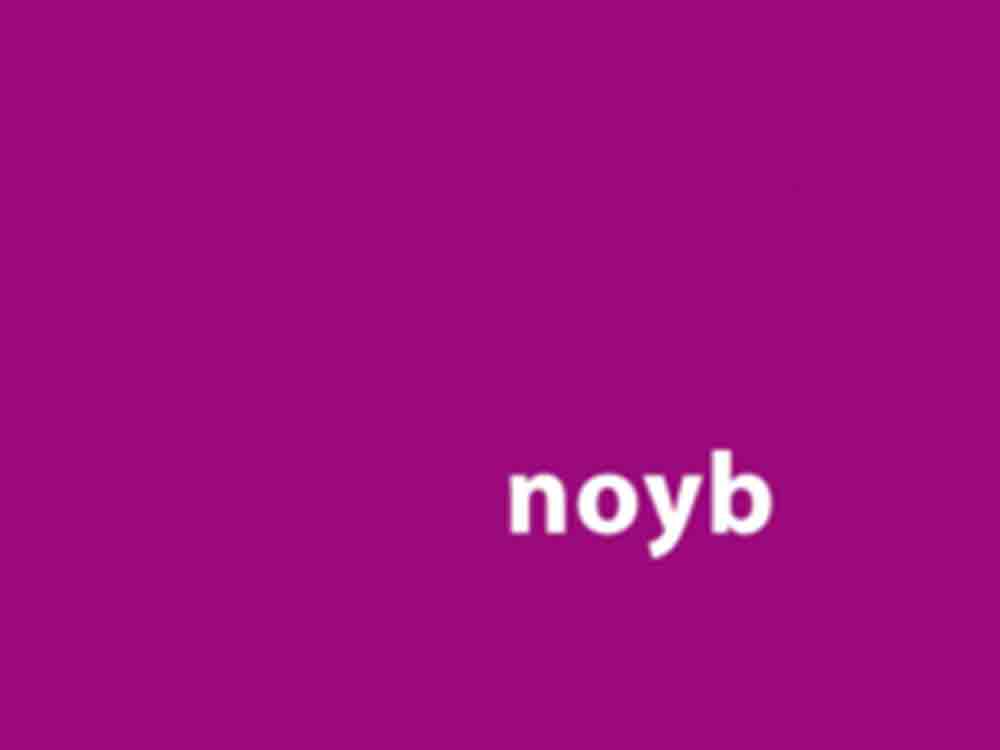 Noyb Sieg: 1 Million Euro Strafe für die Nutzung von Google Analytics