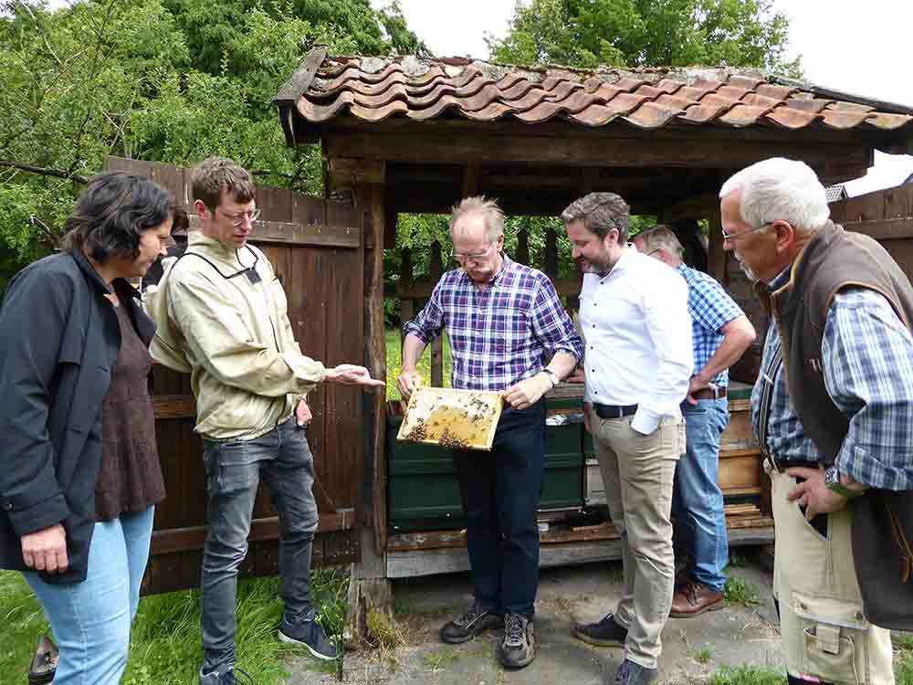 Imkerverein in Herzebrock Clarholz, Bürgermeister ist fasziniert von Honigbienen Imkerverein in Herzebrock Clarholz, Bürgermeister ist fasziniert von Honigbienen