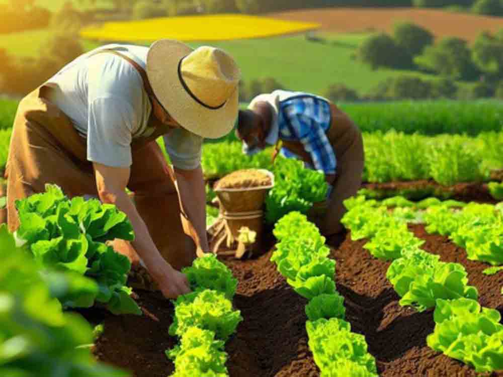 Flora Pell Schafwollpellets im Profibereich: die Vorteile für den Bioanbau