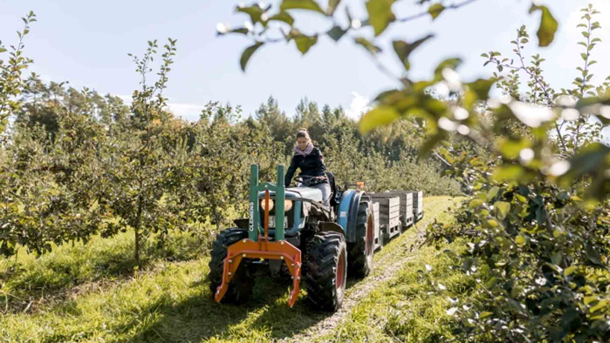 Apfelrunde und Zwiebelkuchenfahrt, am Bodensee lädt der Genussherbst 2023 zum entspannten Aktivsein ein