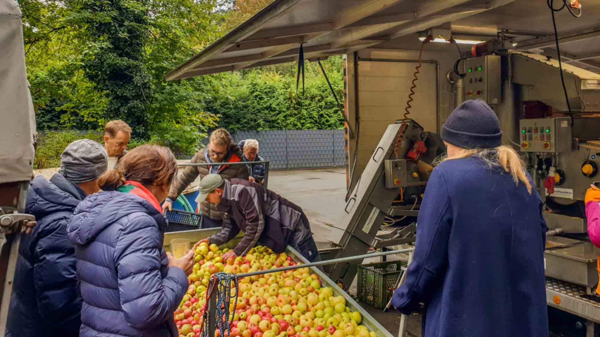 Gütersloh: Im Stadtpark wird Obst zu Saft gepresst, 2. Apfelpresstag am 30. September 2023