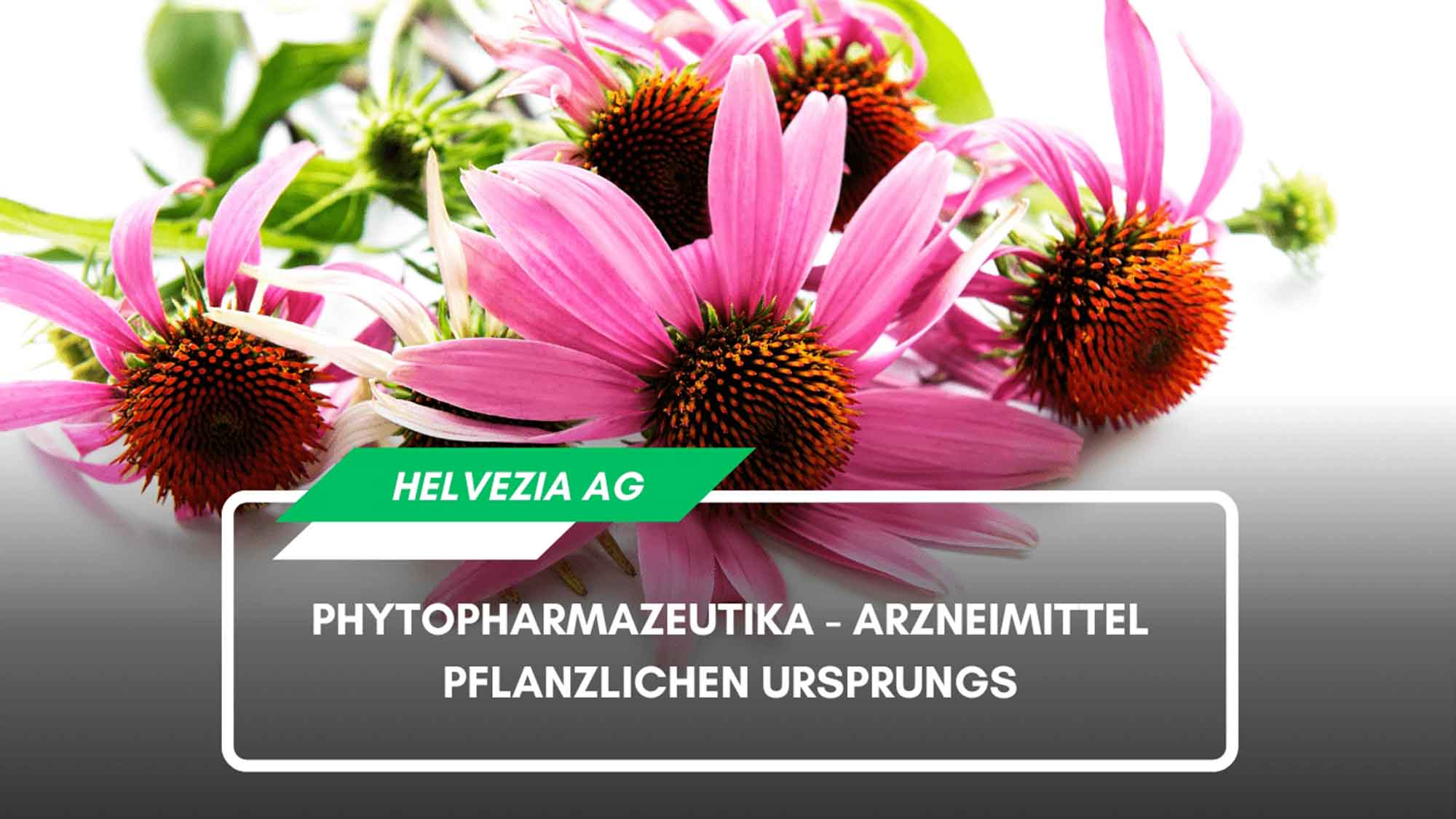 Helvezia AG: Phytopharmazeutika, Arzneimittel pflanzlichen Ursprungs