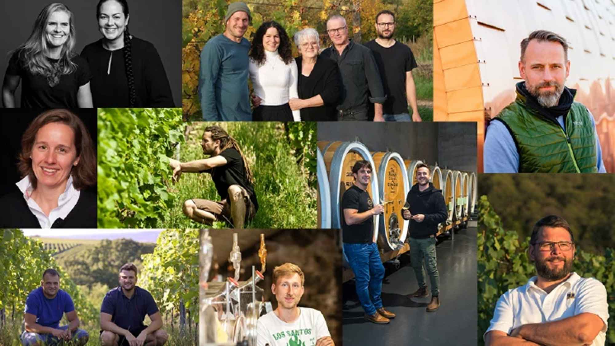 Vinum Weinguide Deutschland 2024, die Nominierten – große Weine, große Namen