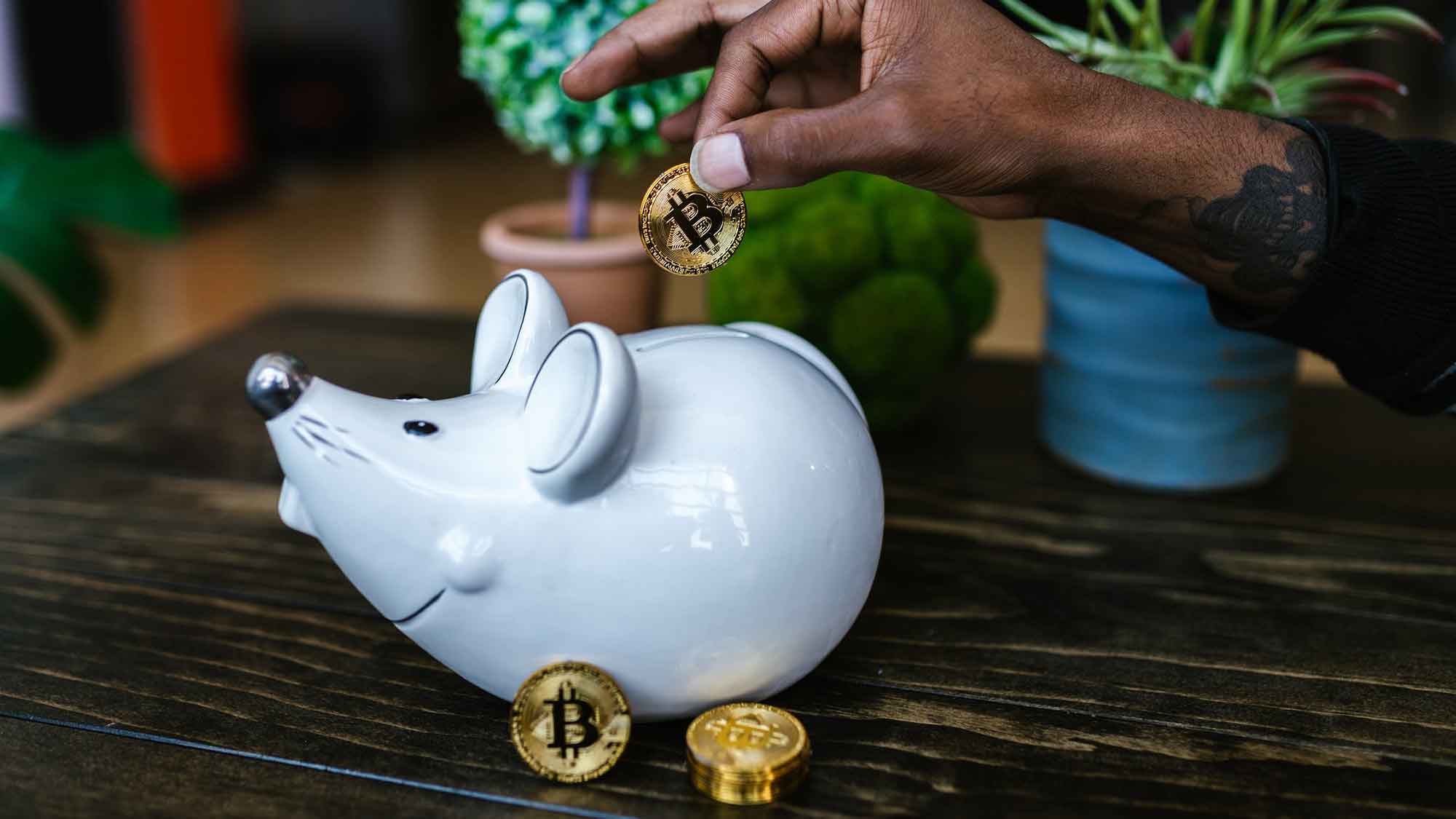 Die wichtigsten Gründe für die Annahme von Bitcoin-Zahlungen im Jahr 2023 Die wichtigsten Gründe für die Annahme von Bitcoin-Zahlungen im Jahr 2023