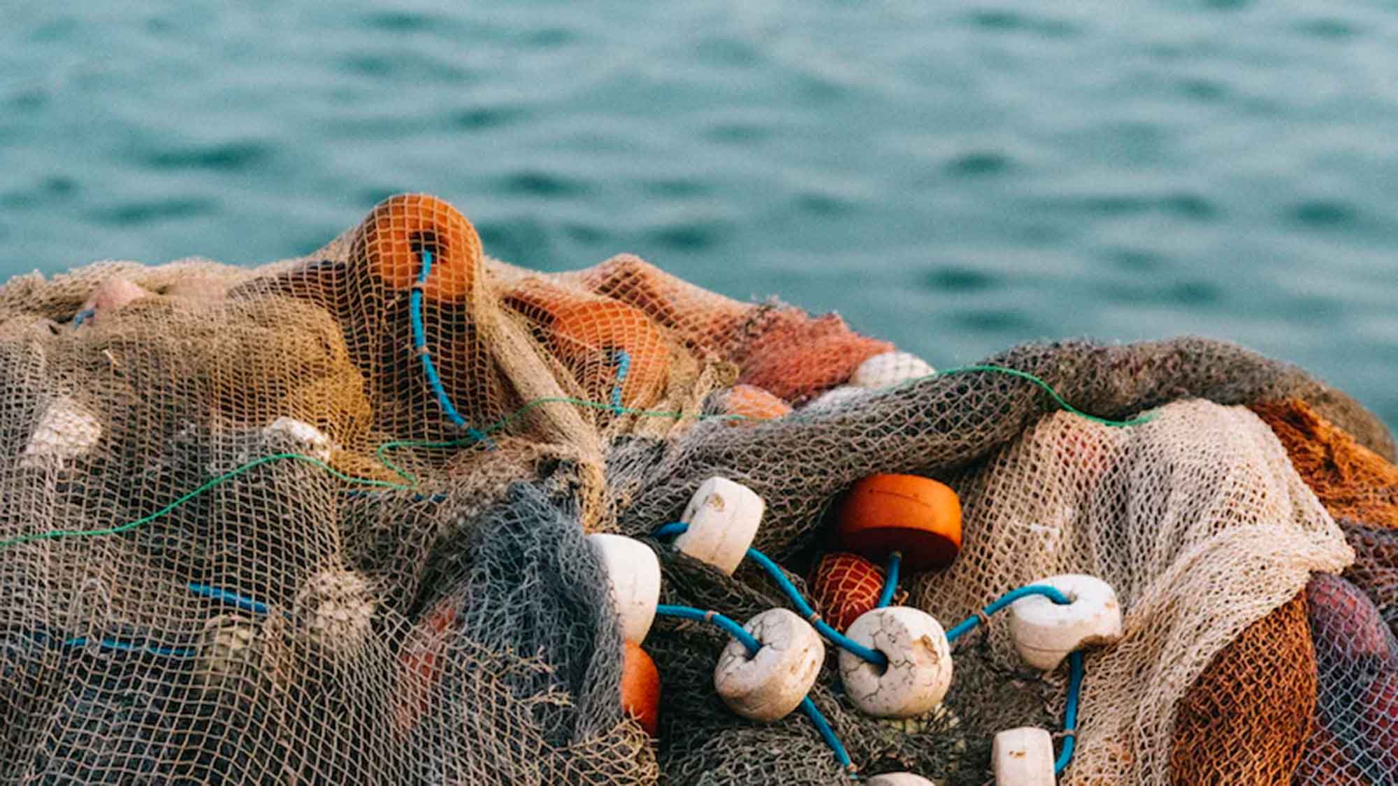 Ostsee Fangquoten ohne Fische – Schutz dringend erforderlich