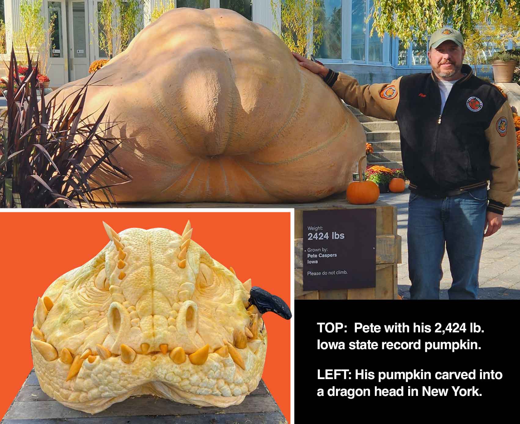 EarthScout Profiles a Family’s Journey to Grow Record Setting Giant Pumpkins