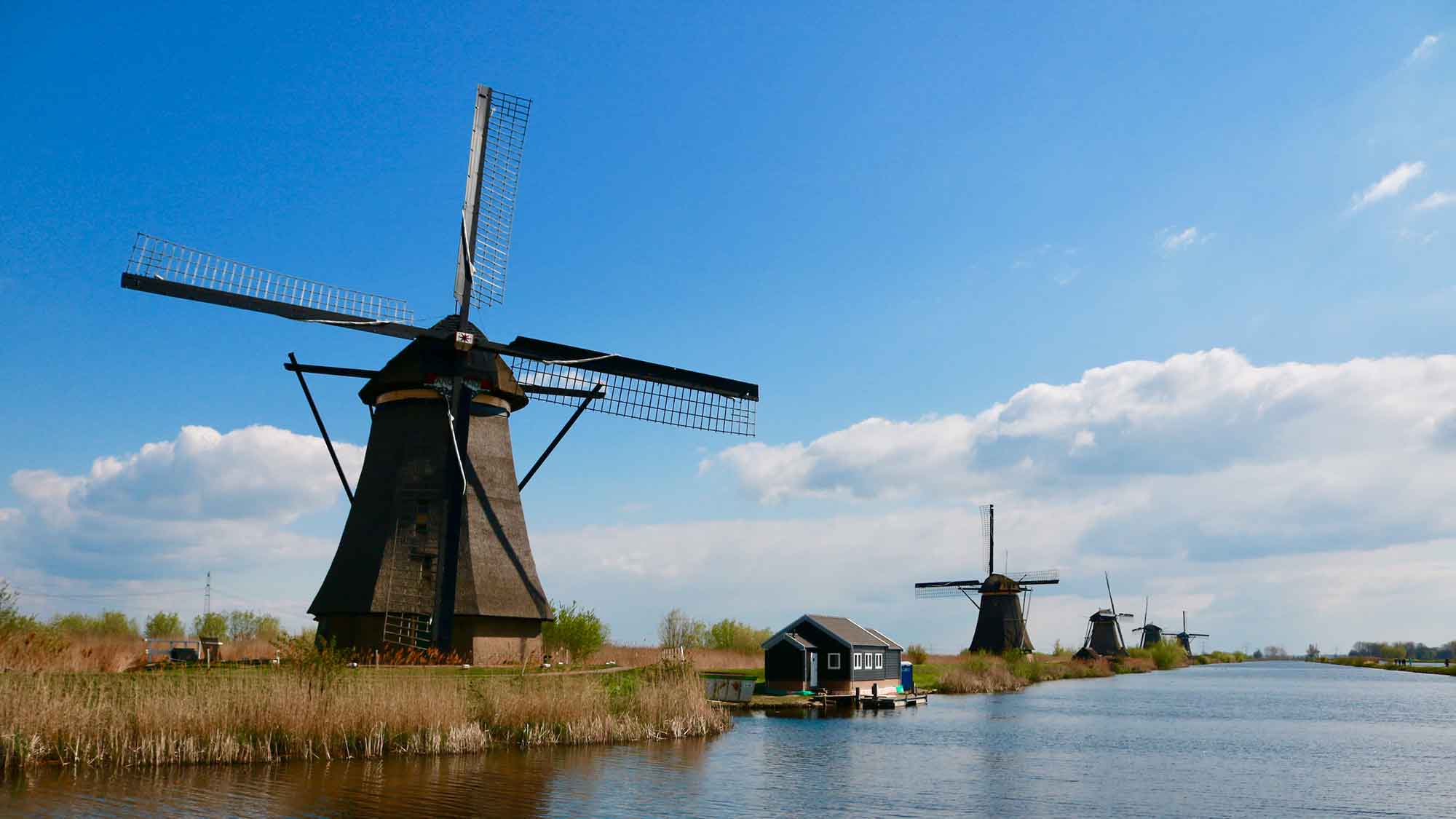 Ferienparks in Holland: ein familienfreundliches Abenteuer