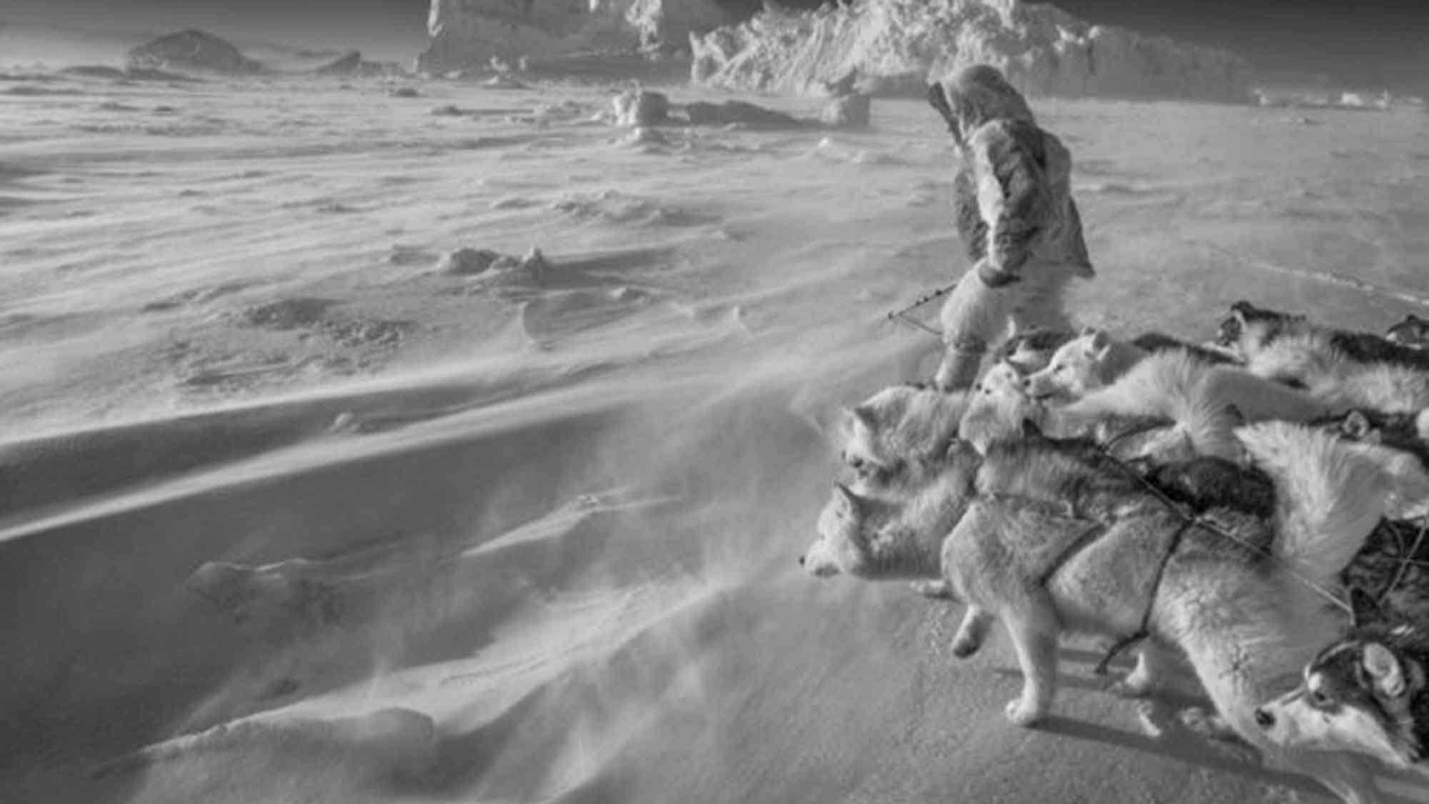 »Arctic Heroes«, die Leica Galerie Düsseldorf zeigt vom 10. November 2023 bis zum 29. Februar 2024 Fotografien des Isländers Ragnar Axelsson »Arctic Heroes«, die Leica Galerie Düsseldorf zeigt vom 10. November 2023 bis zum 29. Februar 2024 Fotografien des Isländers Ragnar Axelsson