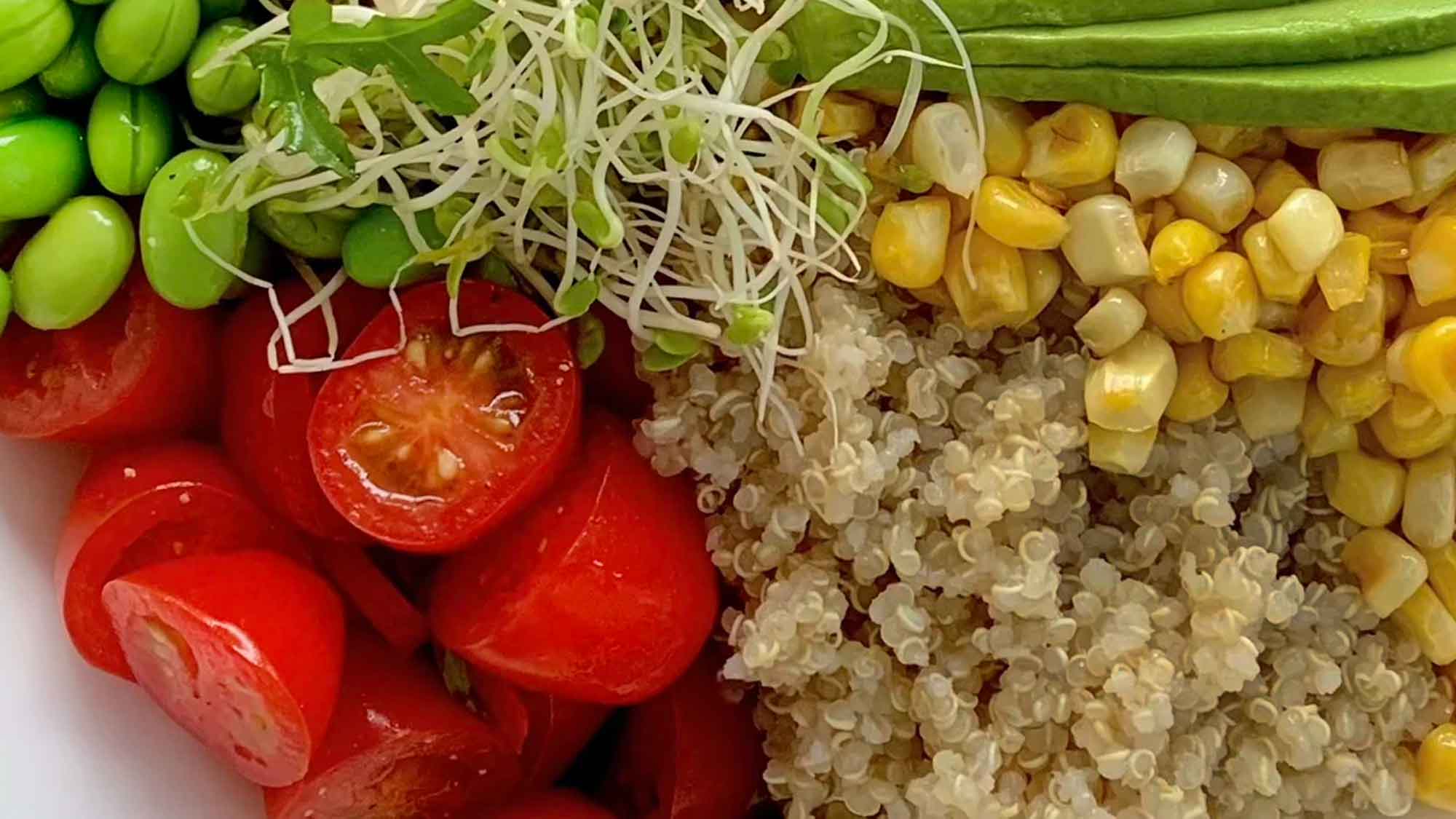Die »Proteinwende« – Zeitenwende in der Ernährung? Salätchen?
