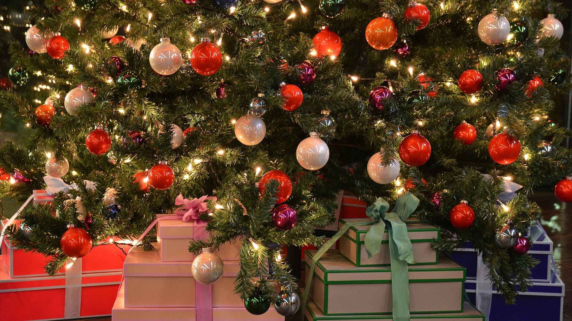 Im Land von Prinz Mär: Weihnachts Märchen Musical vom 1. bis zum 8. Dezember 2023 im Kurhaus Bad Hamm