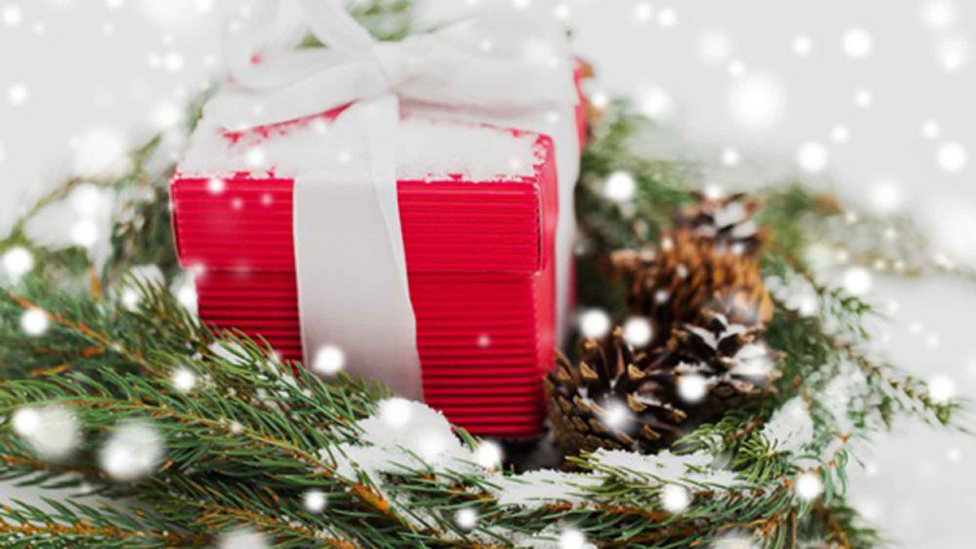 Verbraucherzentrale NRW: energiesparende Geschenke unter dem Weihnachtsbaum