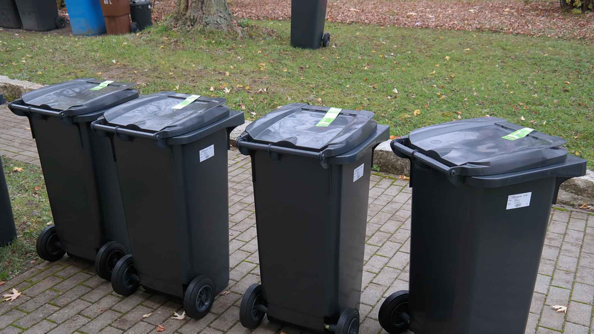 Übervolle Mülltonnen werden in Herzebrock Clarholz nicht mehr gelehrt: Kulanz der Müllabfuhr endet jetzt Übervolle Mülltonnen werden in Herzebrock Clarholz nicht mehr gelehrt: Kulanz der Müllabfuhr endet jetzt