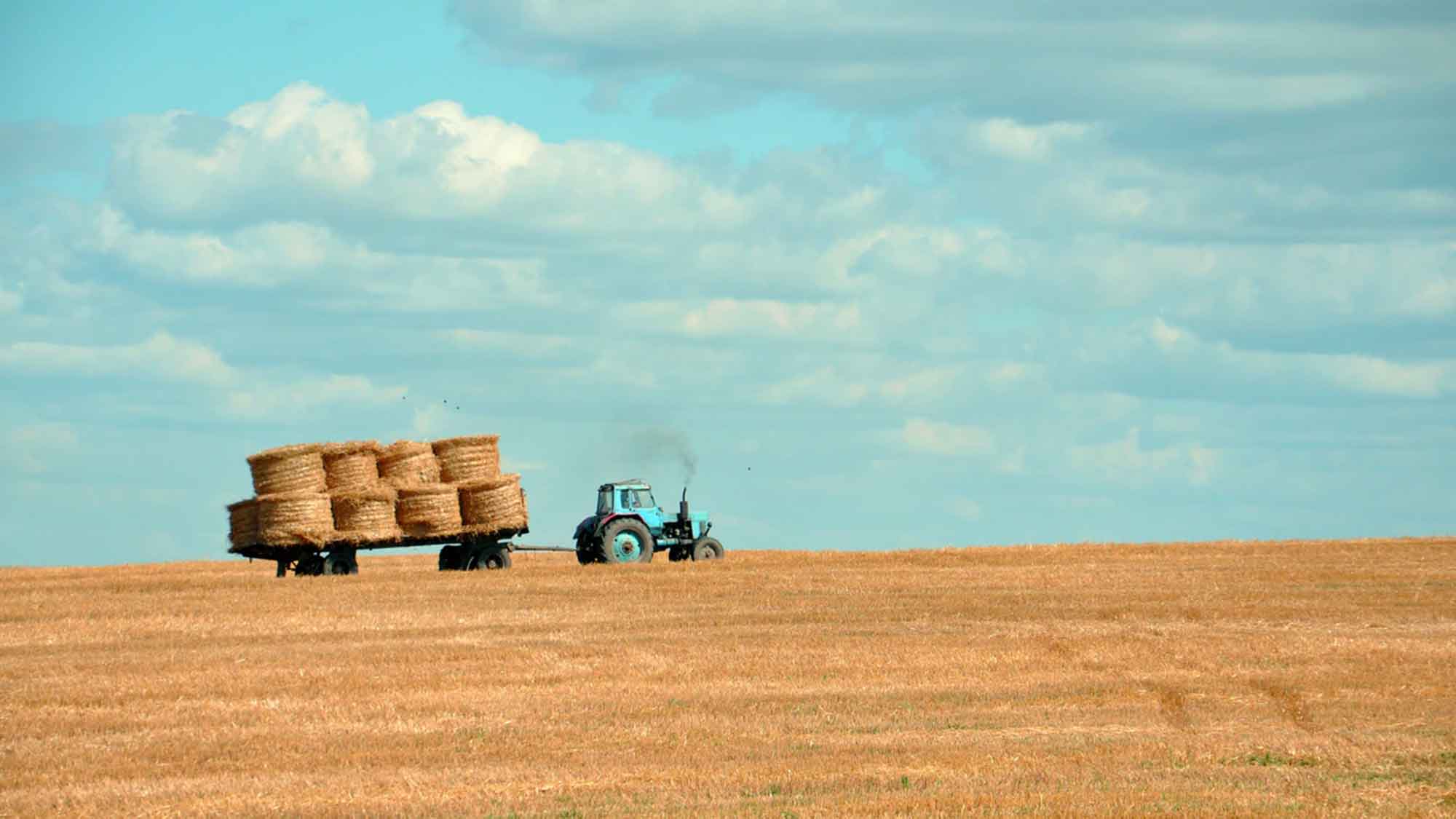 Rund 7.800 landwirtschaftliche Betriebe weniger seit 2020