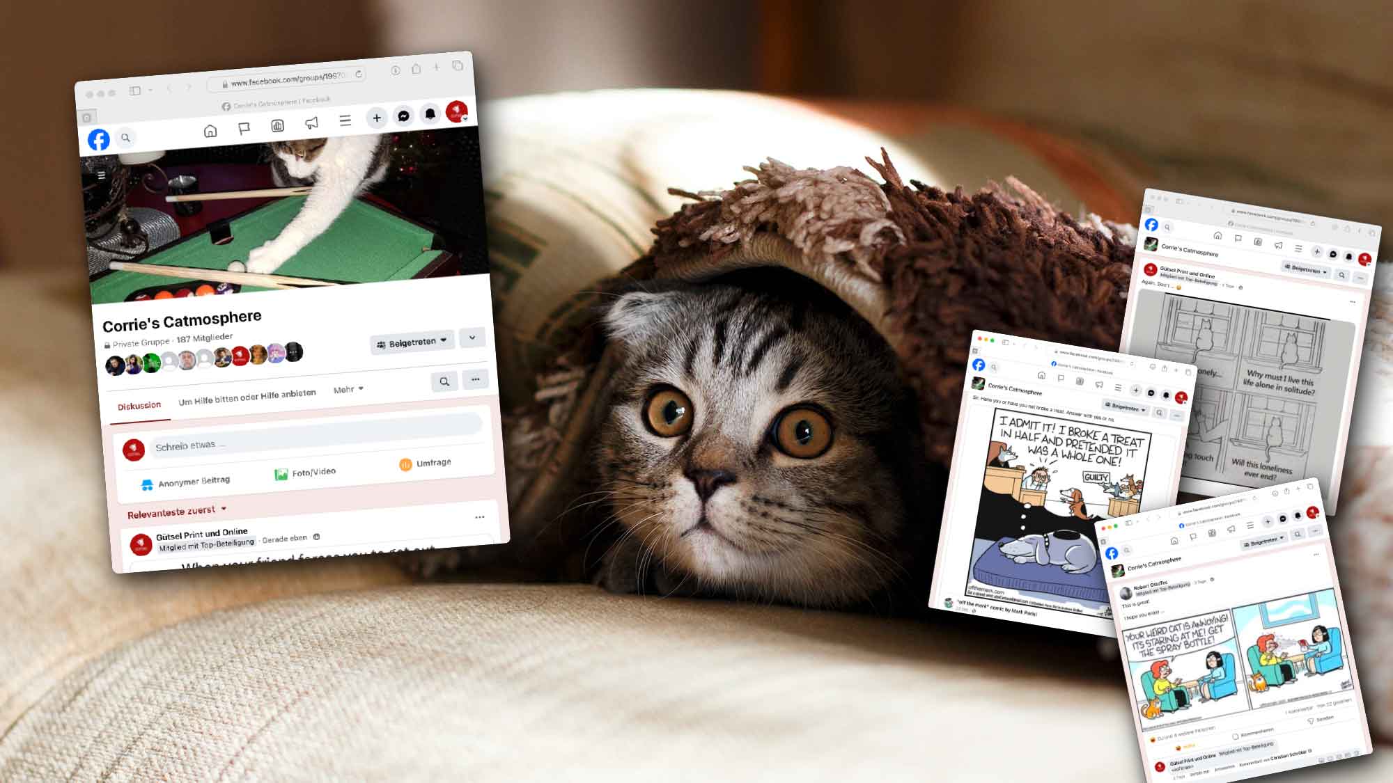 C City (Cat City) Gütersloh, »Corrie’s Catmosphere«, »D City« (Digital City), Digitaltipp, B City Podcast C City (Cat City) Gütersloh, »Corrie’s Catmosphere«, »D City« (Digital City), Digitaltipp, B City Podcast