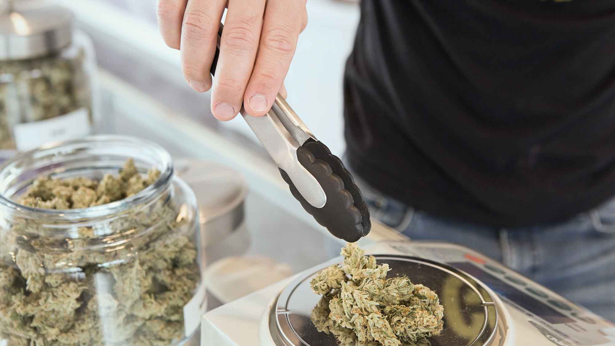 Medizinisches Cannabis: Nur 27 von 400 Ärzten würden THC Produkte verschreiben
