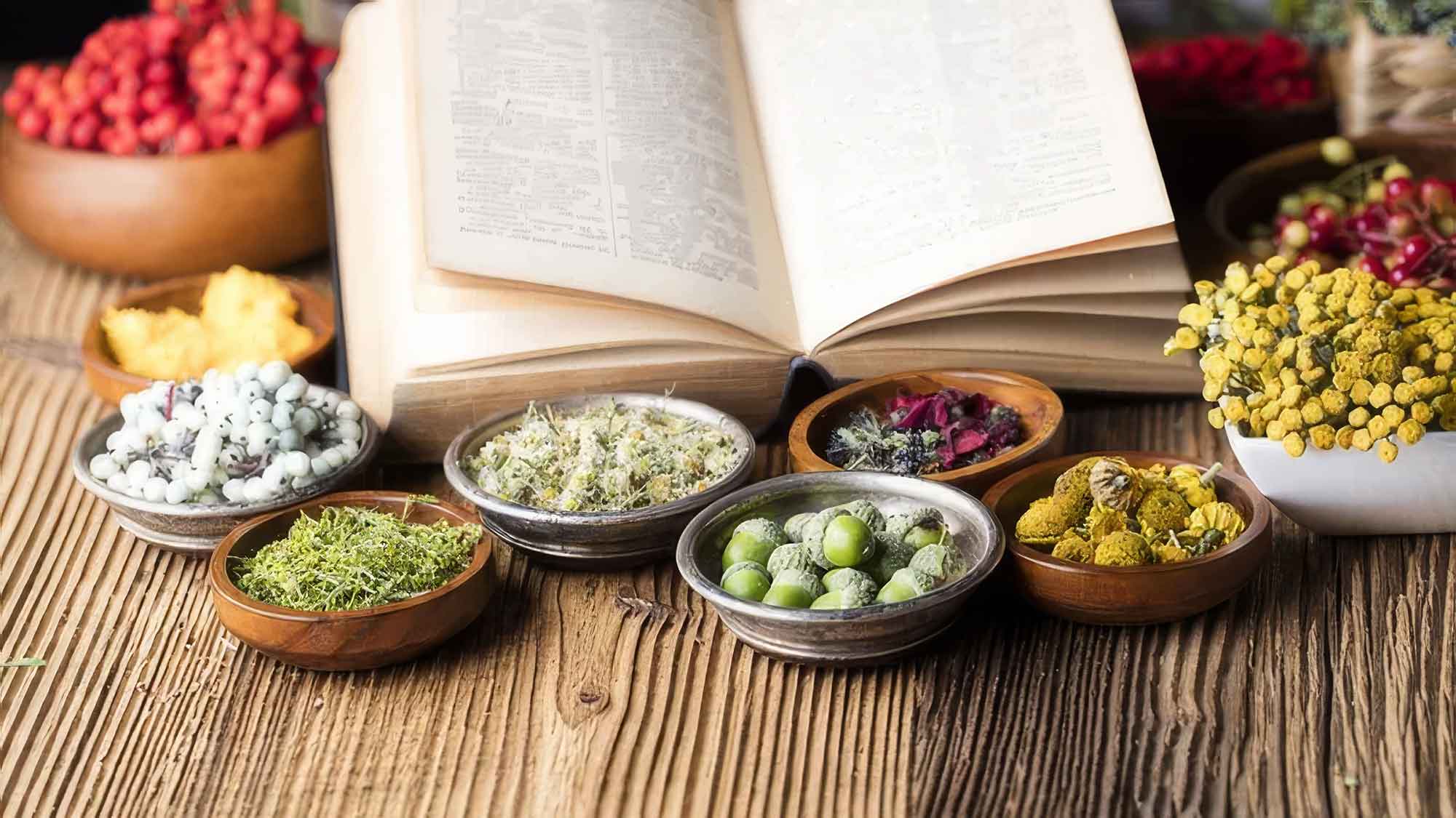Heilpraktiker Schule Wimmer: Phytotherapie Grundausbildung – »Lernen Sie die Kraft der Pflanzen kennen« Heilpraktiker Schule Wimmer: Phytotherapie Grundausbildung – »Lernen Sie die Kraft der Pflanzen kennen«