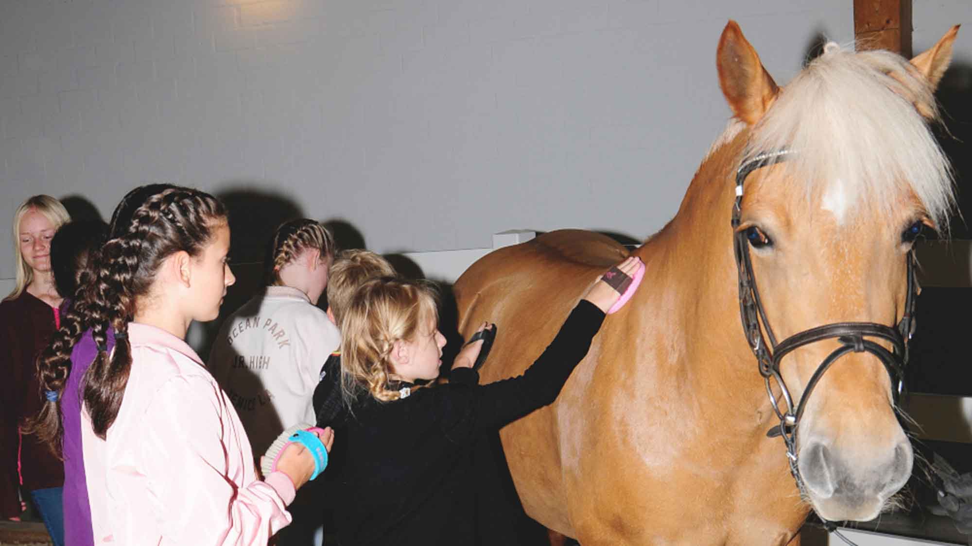Gütersloh Pferde News: &raquo;Ran ans Pferd!&laquo; – beliebte Kinder Aktion im Westfälischen Pferdemuseum ist zurück, 27. April 2024