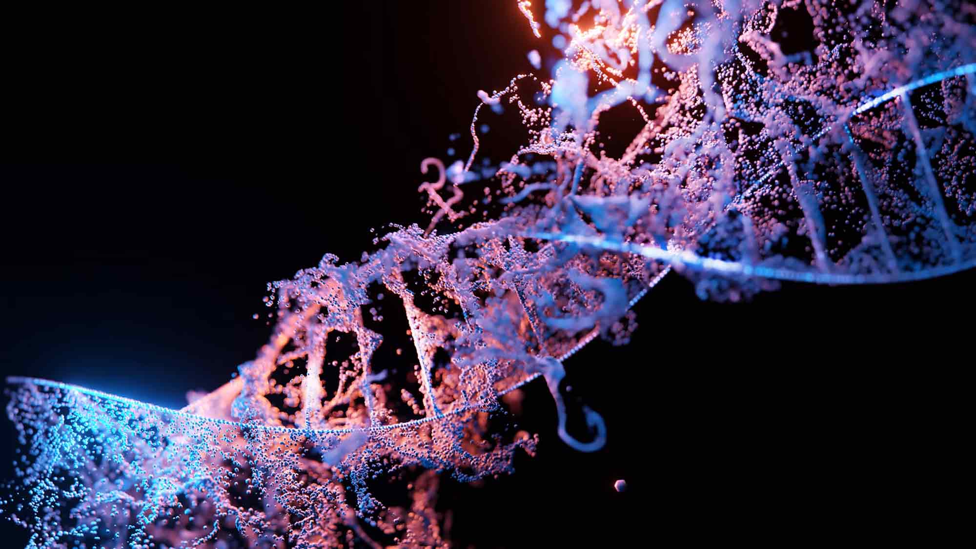 Wissenschaftsnews Gütersloh: Die Genetik der Parkinson Krankheit: Bringt Genforschung den Durchbruch für die Parkinson Therapie? Wissenschaftsnews Gütersloh: Die Genetik der Parkinson Krankheit: Bringt Genforschung den Durchbruch für die Parkinson Therapie?