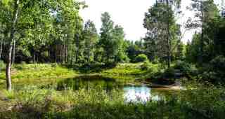 The NOW of Gütersloh