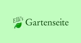 The NOW of Gütersloh