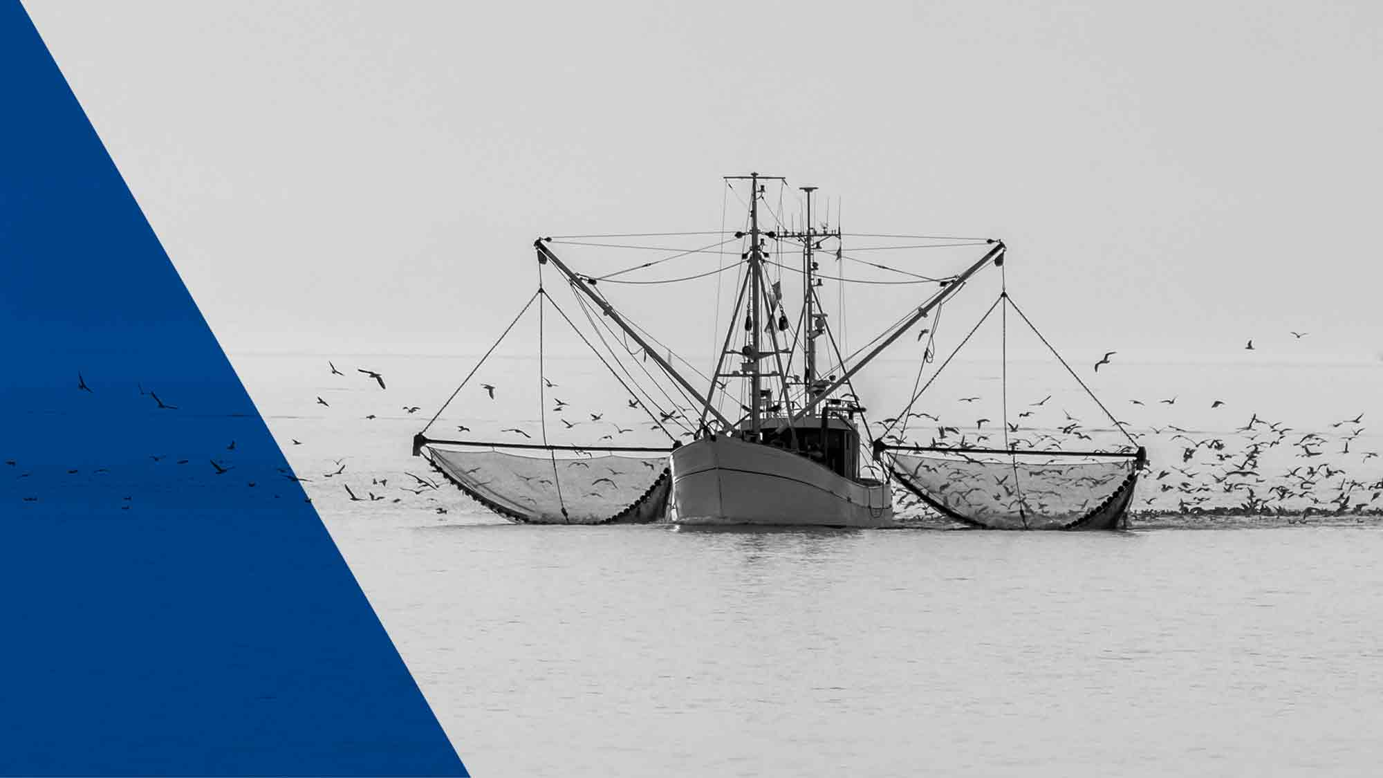 ARD Radiofeature: Kampf an der #Nordsee – Doku über den Konflikt zwischen Fischern und Meeresschützern ARD Radiofeature: Kampf an der #Nordsee – Doku über den Konflikt zwischen Fischern und Meeresschützern