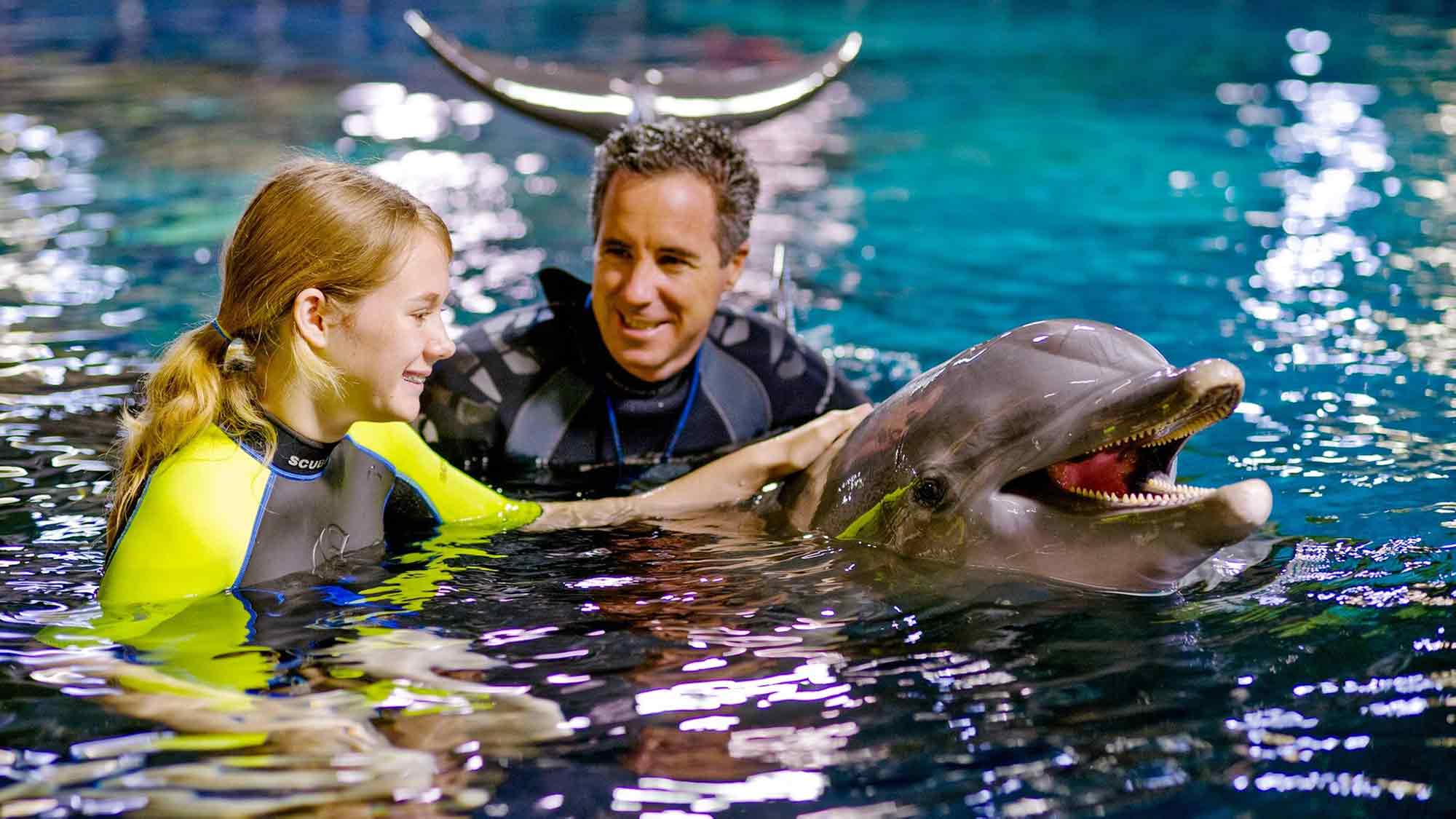 »Save the Ocean« Jörn Kriebel: Tierrechtsaktivist Ric O’Barry fordert Disney auf, Delfine im EPCOT in den Ruhestand zu schicken »Save the Ocean« Jörn Kriebel: Tierrechtsaktivist Ric O’Barry fordert Disney auf, Delfine im EPCOT in den Ruhestand zu schicken