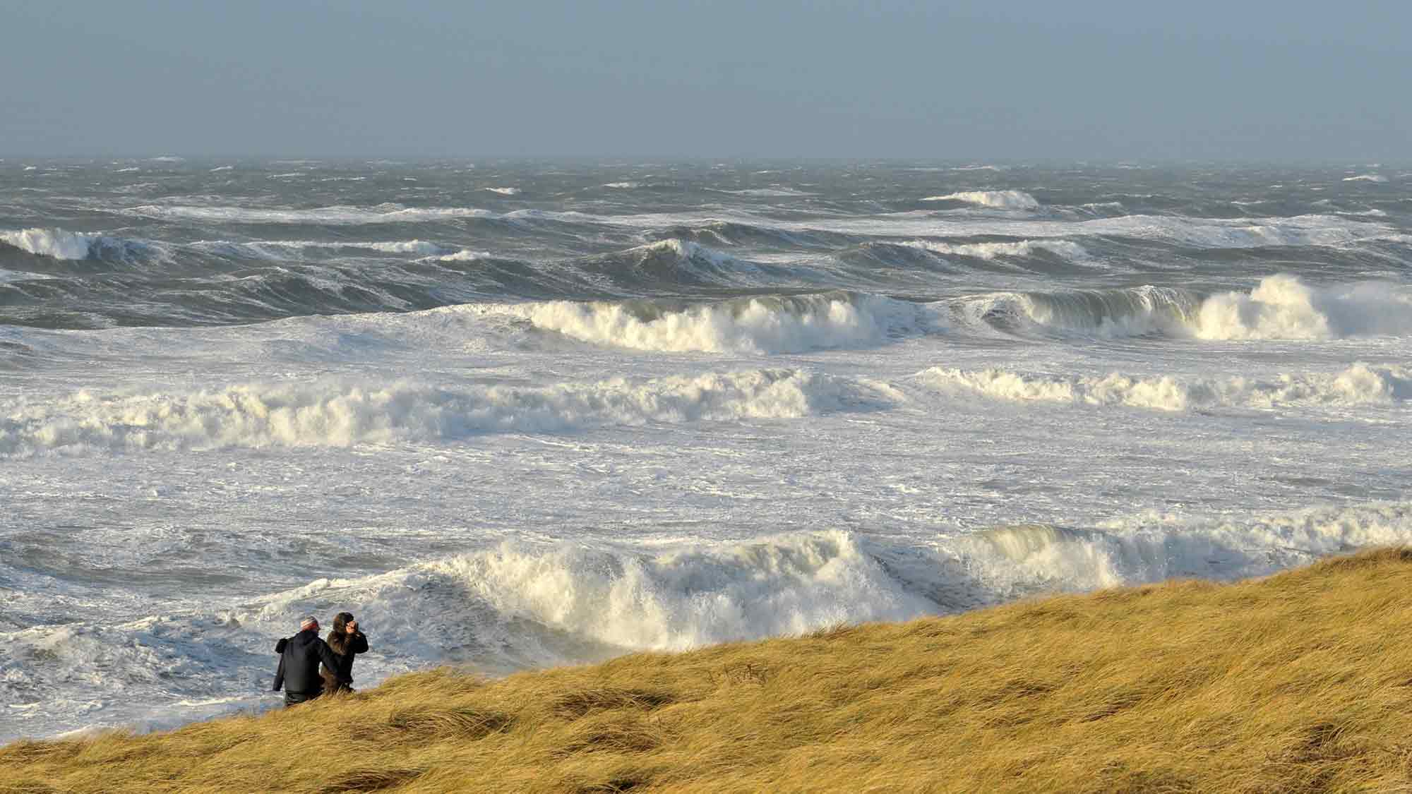 Sylt: ein Zuhause für die Literatur, Langes Literaturwochenende der Privathotels Sylt (&raquo;LIWO&laquo;), 5. bis 10. November 2024