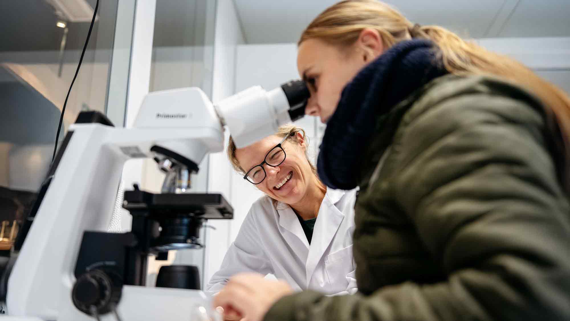 Noch Plätze frei: Experimente für kleine Forscher, Gene Workshop im LWL Museum für Naturkunde, 7. Dezember 2024