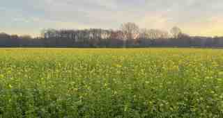 The NOW of Gütersloh