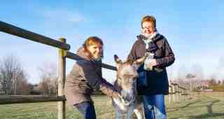 The NOW of Gütersloh