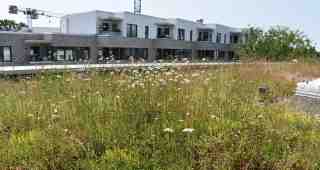 The NOW of Gütersloh